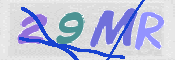 この文字を入力してください