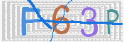 この文字を入力してください