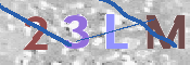 この文字を入力してください