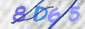 この文字を入力してください