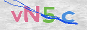 この文字を入力してください