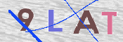 この文字を入力してください