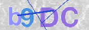 この文字を入力してください
