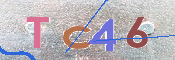 この文字を入力してください