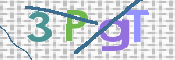 この文字を入力してください