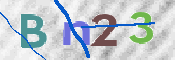 この文字を入力してください