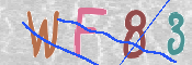 この文字を入力してください
