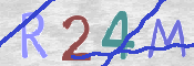 この文字を入力してください
