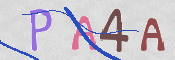 この文字を入力してください