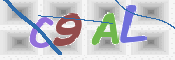 この文字を入力してください
