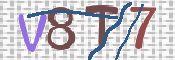 この文字を入力してください