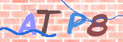 この文字を入力してください
