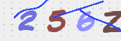この文字を入力してください