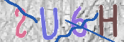 この文字を入力してください