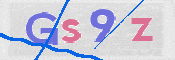 この文字を入力してください