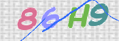 この文字を入力してください
