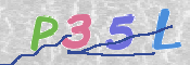 この文字を入力してください