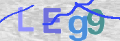 この文字を入力してください