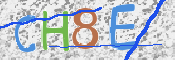 この文字を入力してください