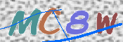 この文字を入力してください