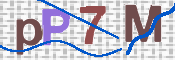 この文字を入力してください