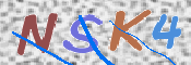 この文字を入力してください