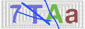 この文字を入力してください