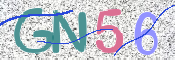 この文字を入力してください