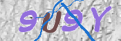 この文字を入力してください
