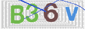 この文字を入力してください