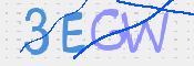 この文字を入力してください