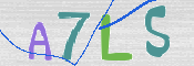 この文字を入力してください