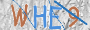 この文字を入力してください