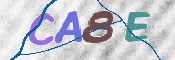この文字を入力してください