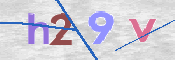 この文字を入力してください
