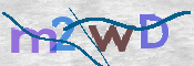 この文字を入力してください