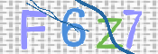 この文字を入力してください