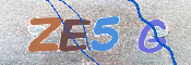 この文字を入力してください