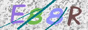 この文字を入力してください