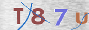 この文字を入力してください