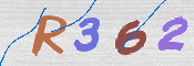 この文字を入力してください
