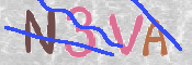 この文字を入力してください