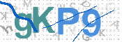 この文字を入力してください