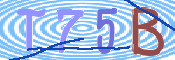 この文字を入力してください