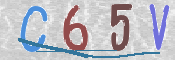 この文字を入力してください