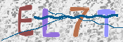 この文字を入力してください