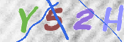 この文字を入力してください