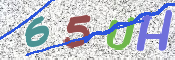 この文字を入力してください
