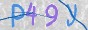 この文字を入力してください