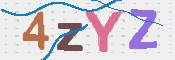 この文字を入力してください